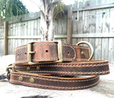 Dog Collars